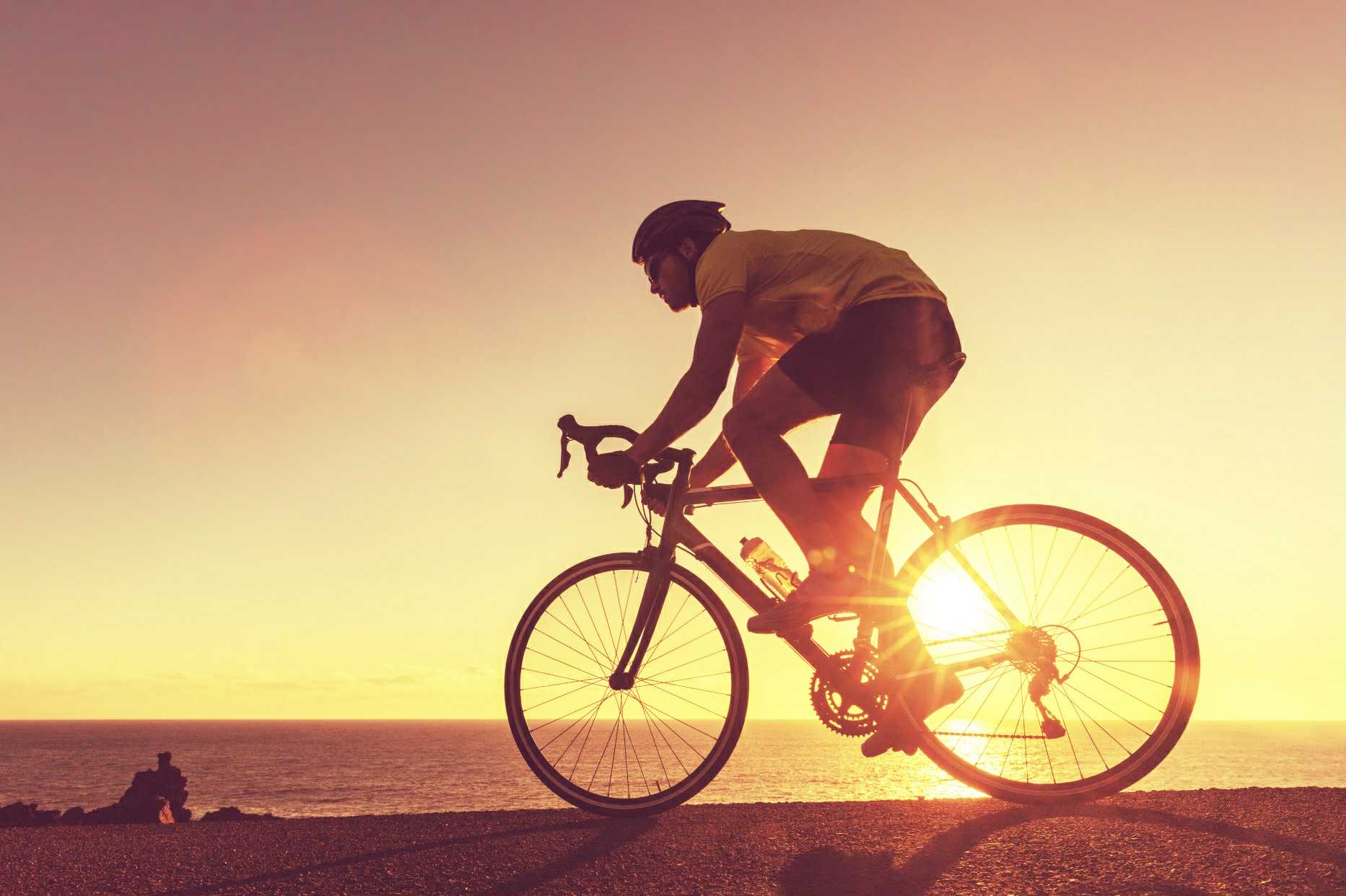 00eca488-b9cc-444d-9412-d6f13d9a4d31