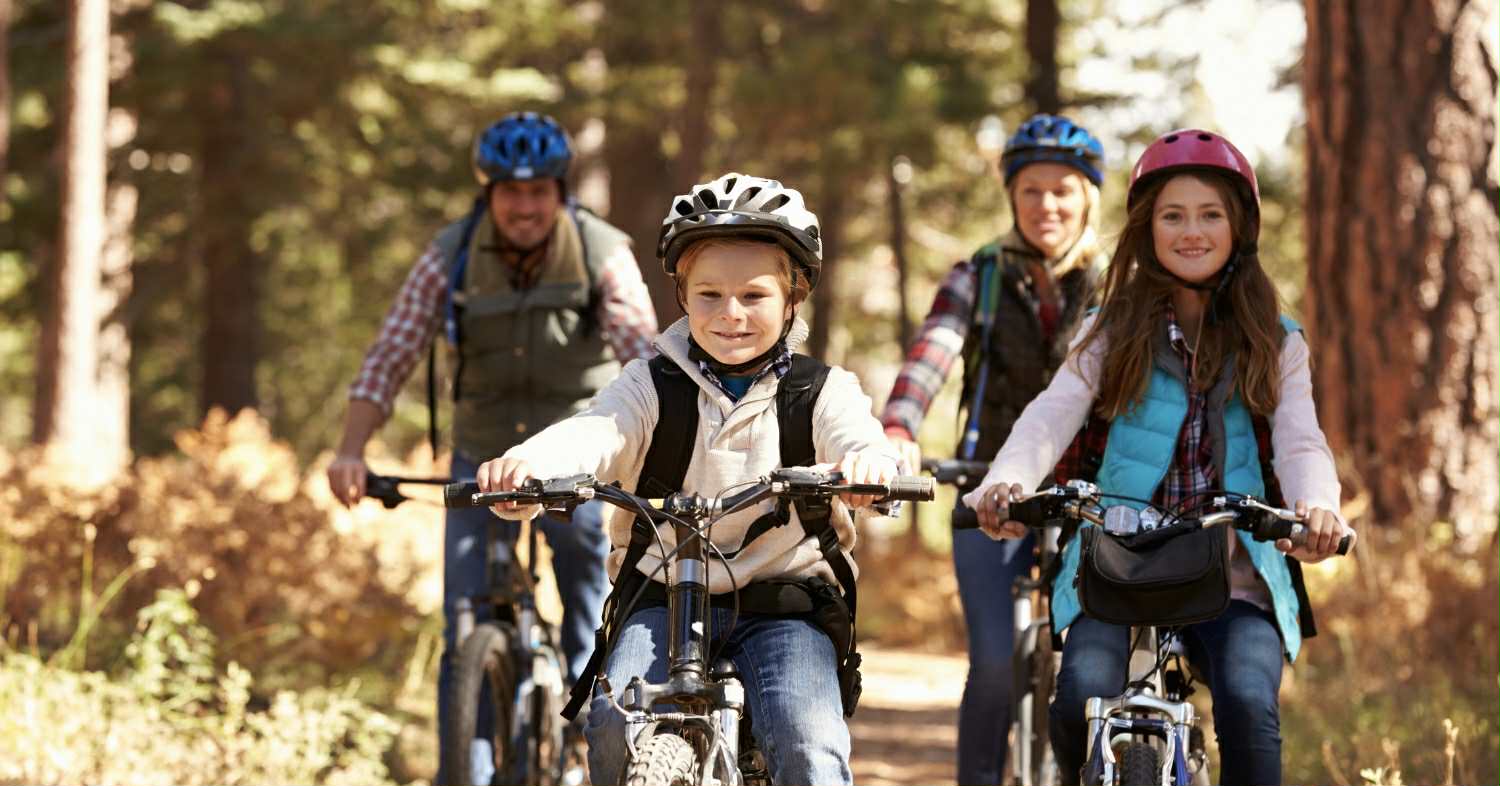 3011ec02-dbf3-4fcd-876a-18f0ef0f9619