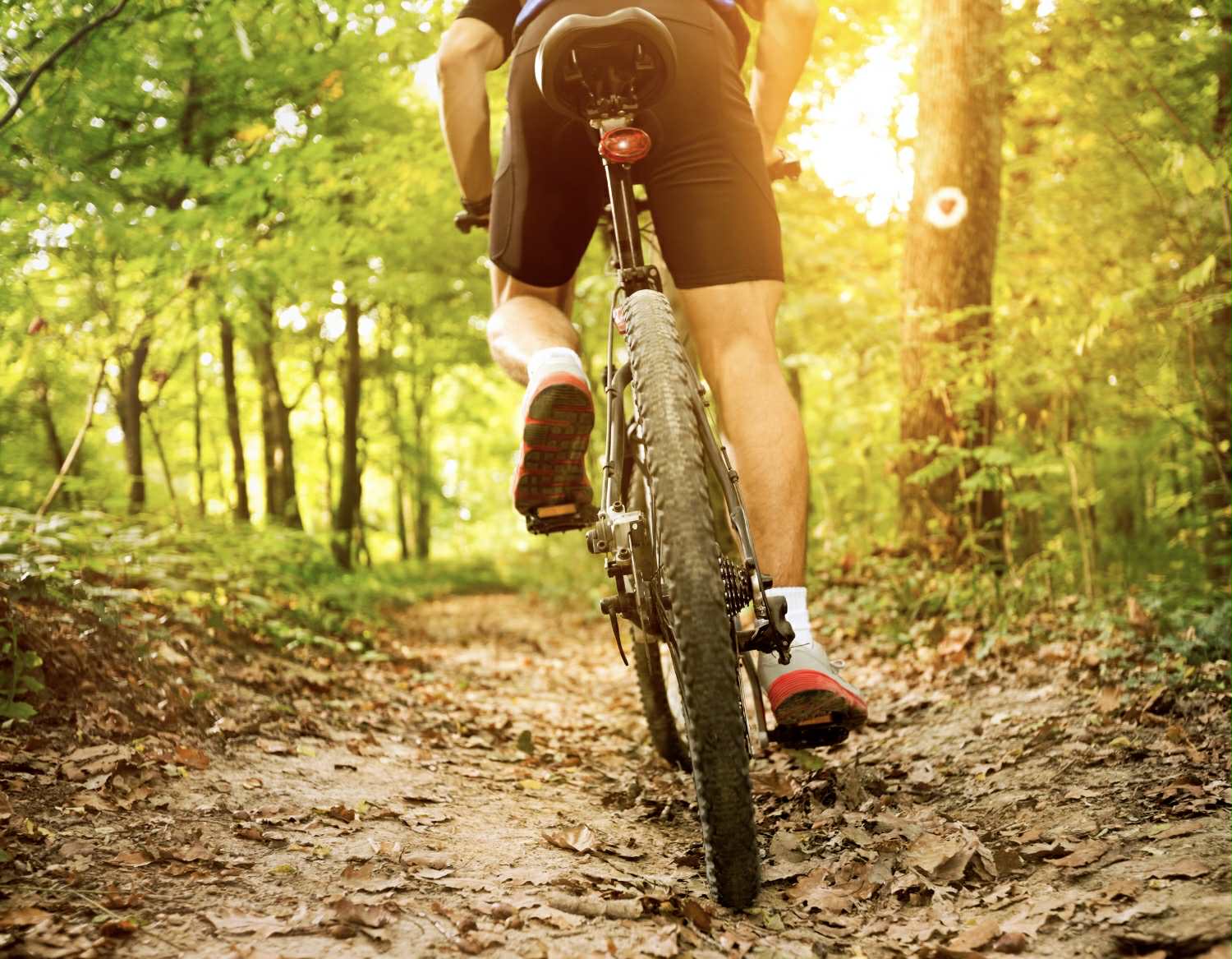 6110d042-79f2-4632-95a2-83a67cf53e58