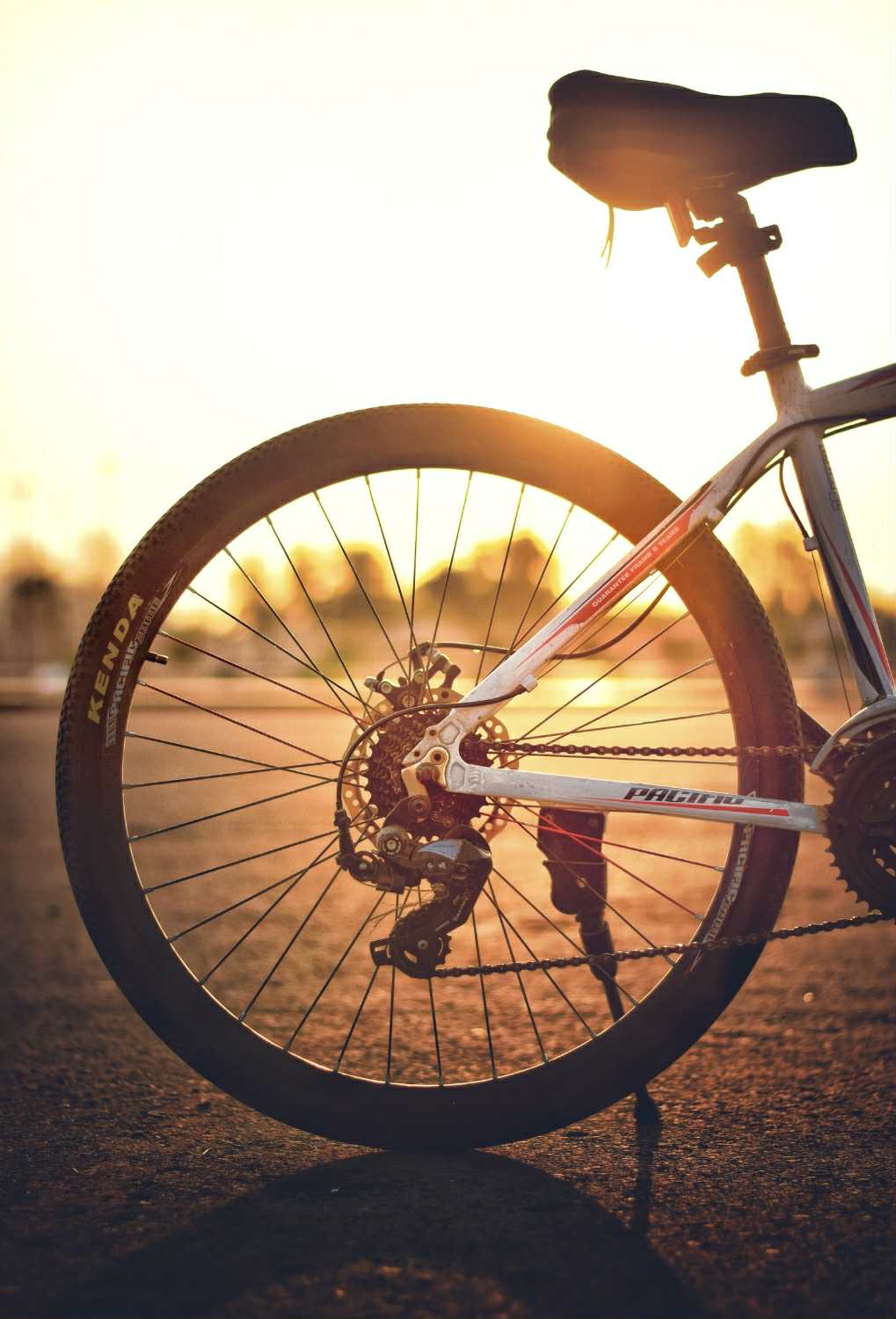 982d9984-117a-4445-8c04-a5511684dab4